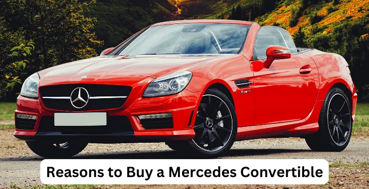 Reasons to Buy a Mercedes Convertible